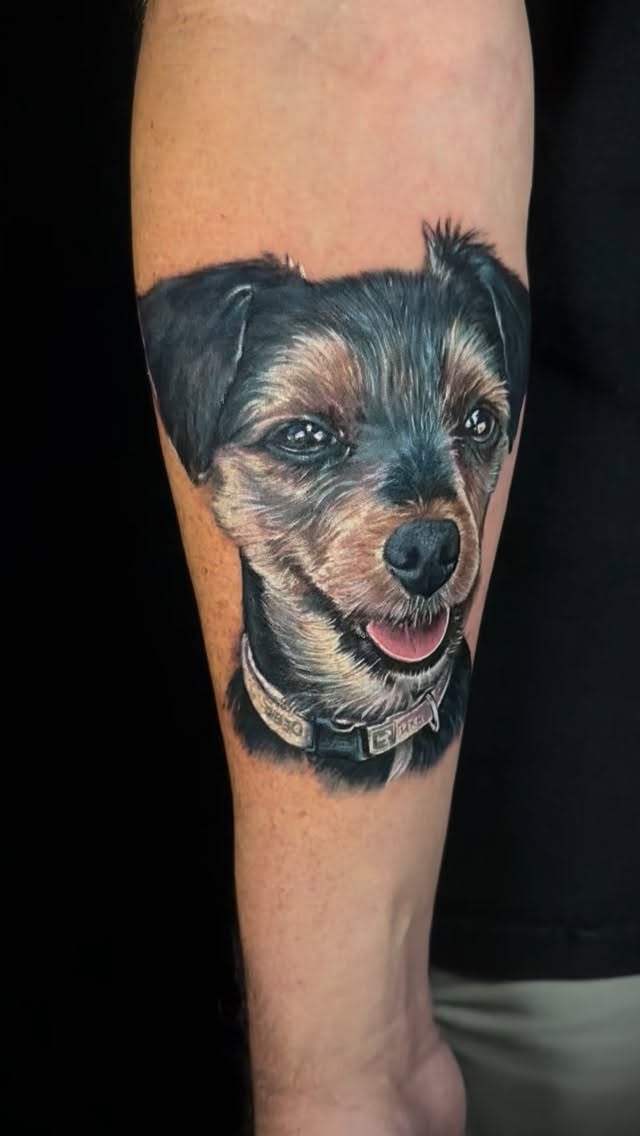 Animal
