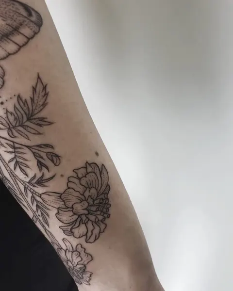 Animal, Nature, Flower