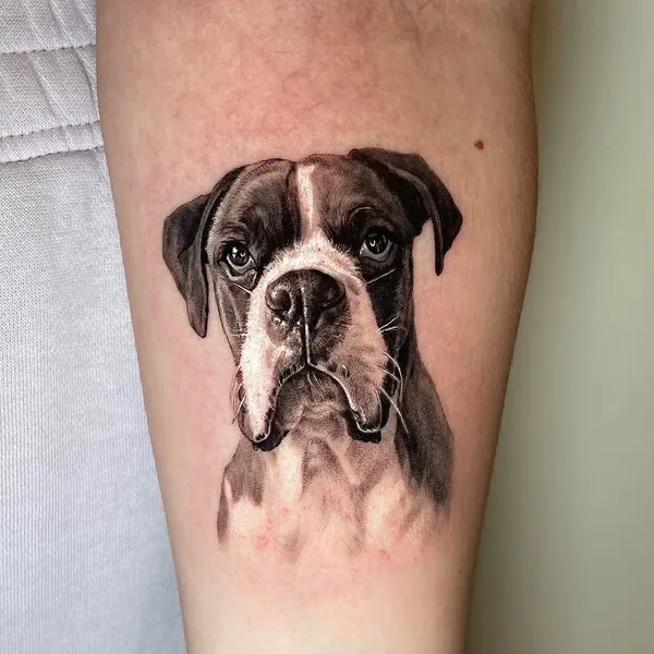 Animal