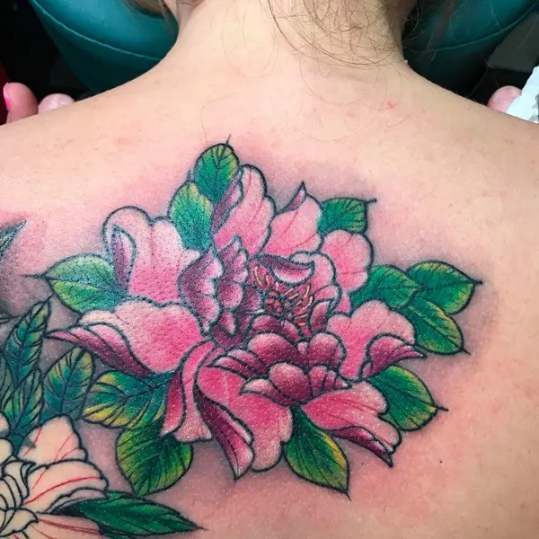 Flower, Rose, Nature