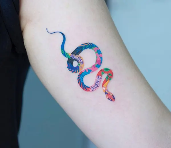 equilattera