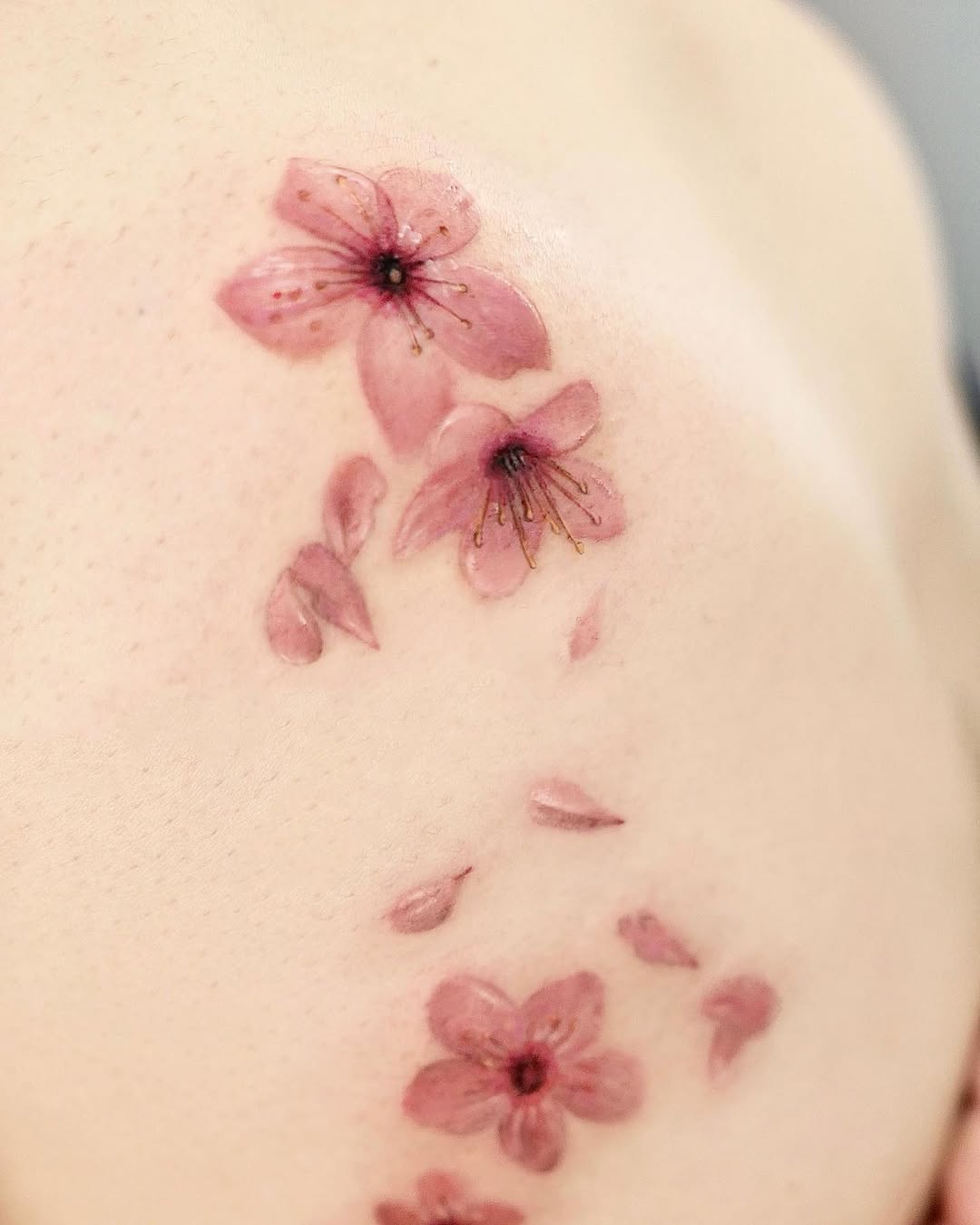 Flower, 난초, 벚꽃, 립스틱, 양귀비, 히비스커스
