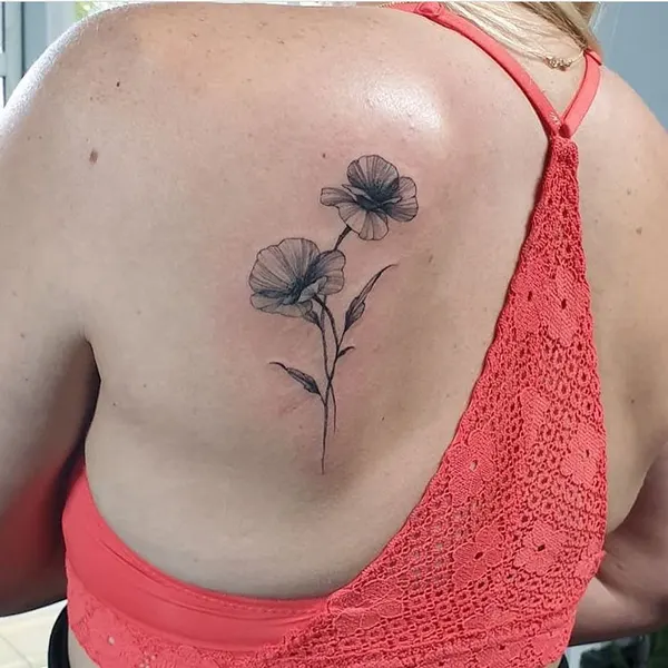 Rose, Nature, Flower