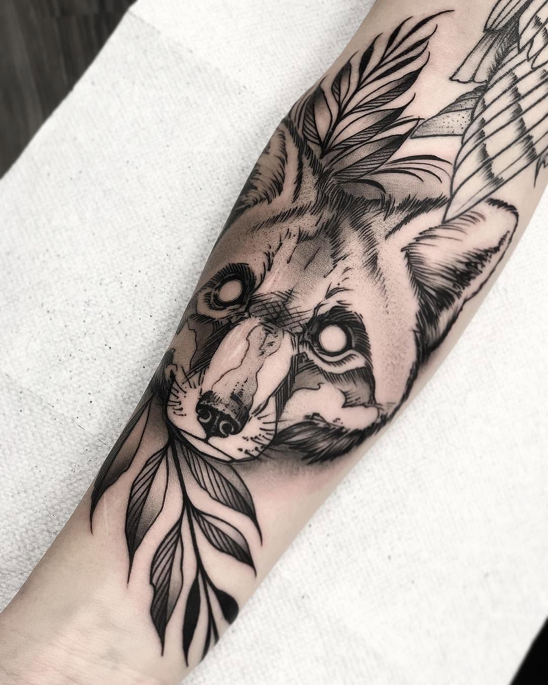 Animal, 여우