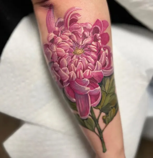 Flower, Rose, 튤립, 꽃다발