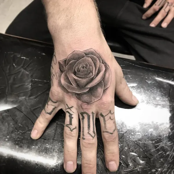Flower, Rose