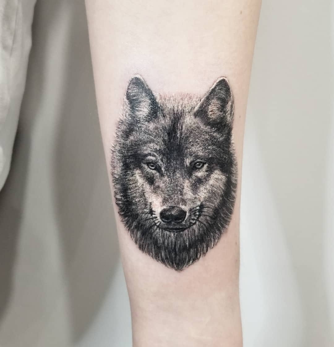여우, 늑대, 늑대인간, Animal