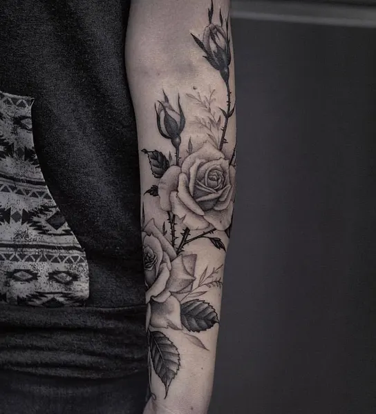 Flower, Rose