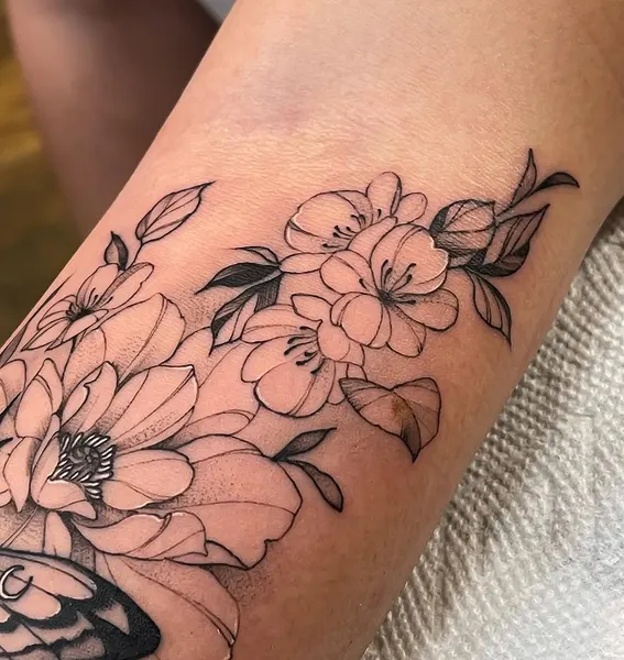 Flower, Rose