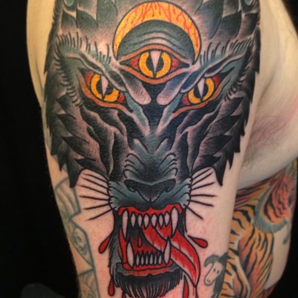 Tiger, Animal