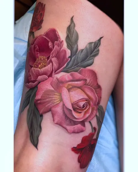 Flower, Nature, Rose