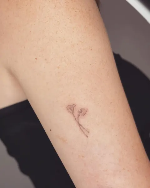 Flower, 잎, 비둘기, 은행잎, 올리브 가지, 깃털
