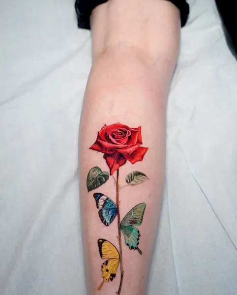 Flower, Animal, Nature, Rose