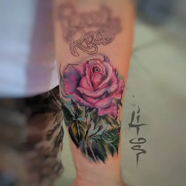 Flower, Rose
