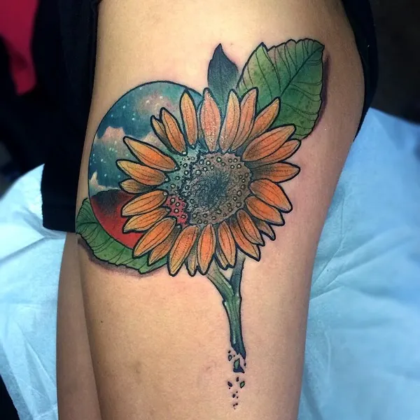Flower, 해바라기, 수선화