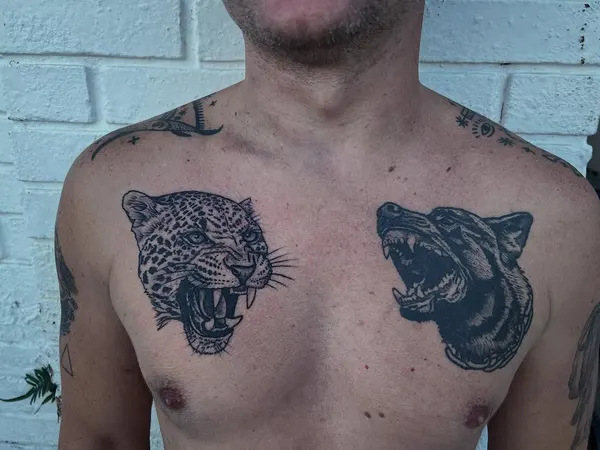 Animal, 표범, 재규어, 치타