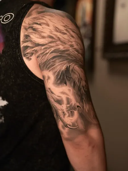 Daniel Rocha