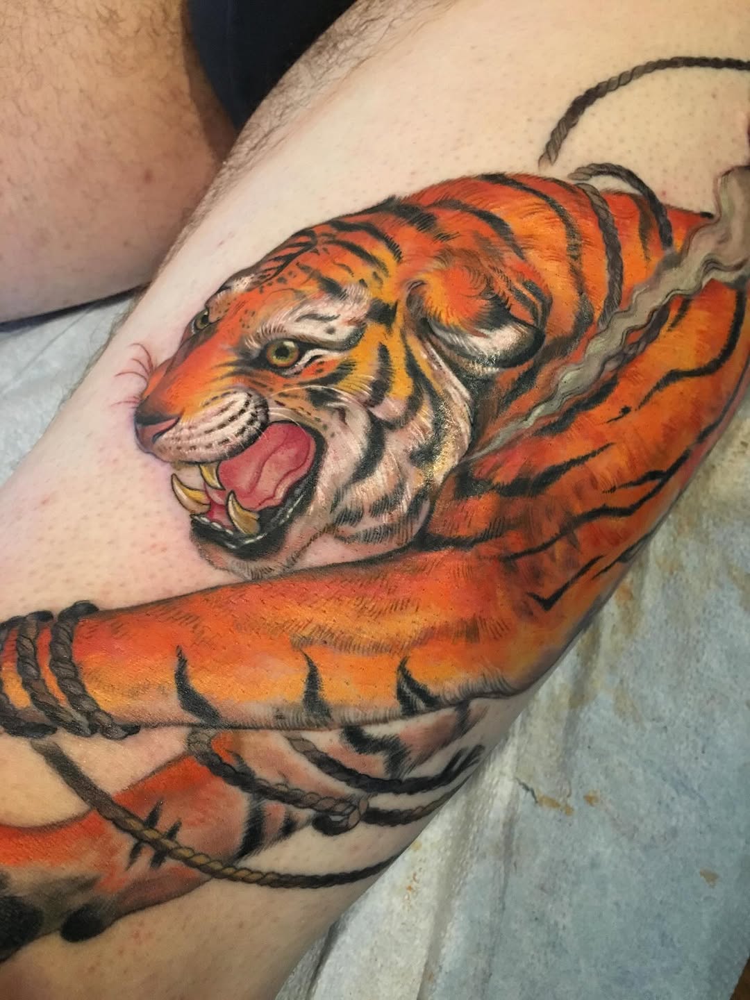 Tiger