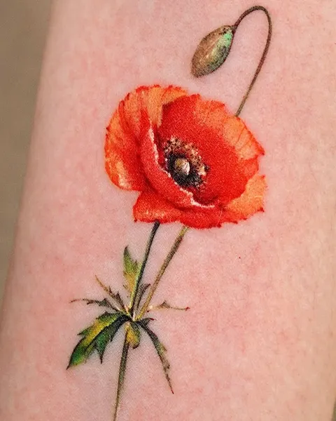 Rose, Flower