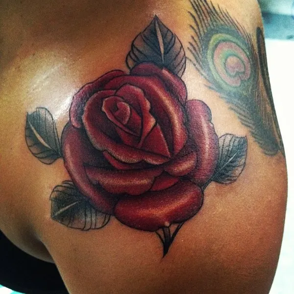 Flower, Rose, Nature