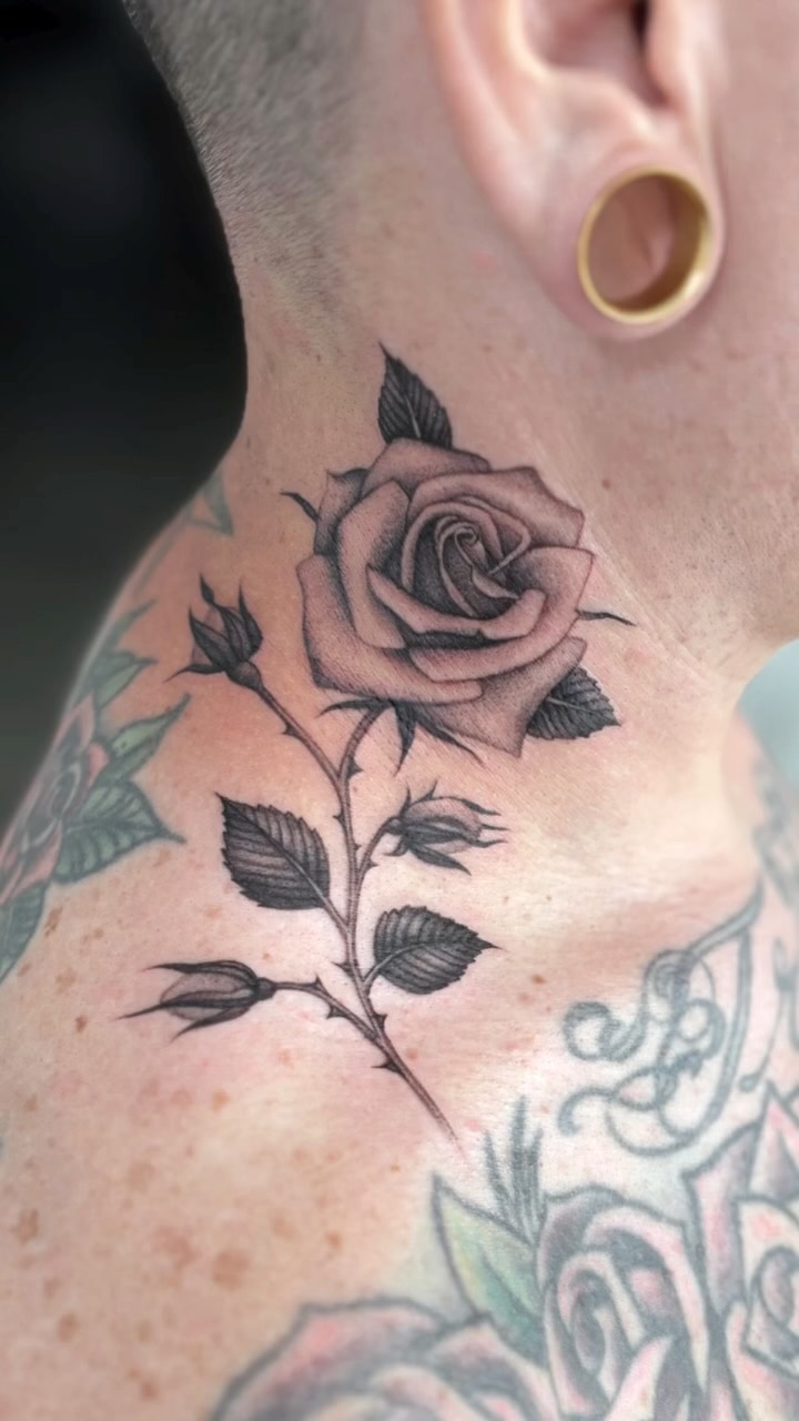 Flower, Rose, Nature