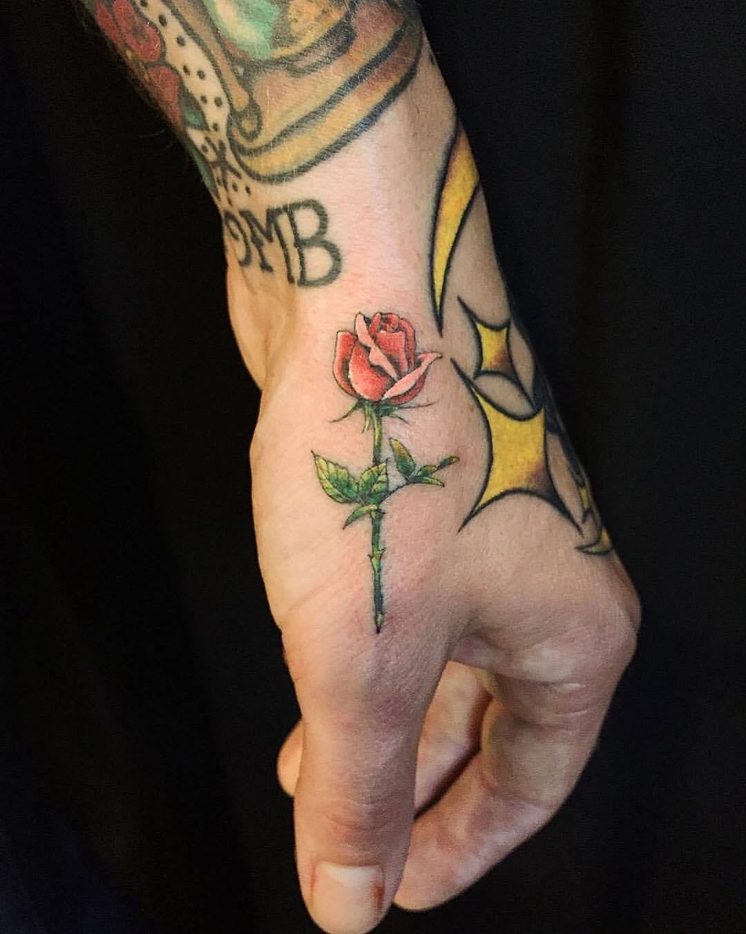 Flower, Rose