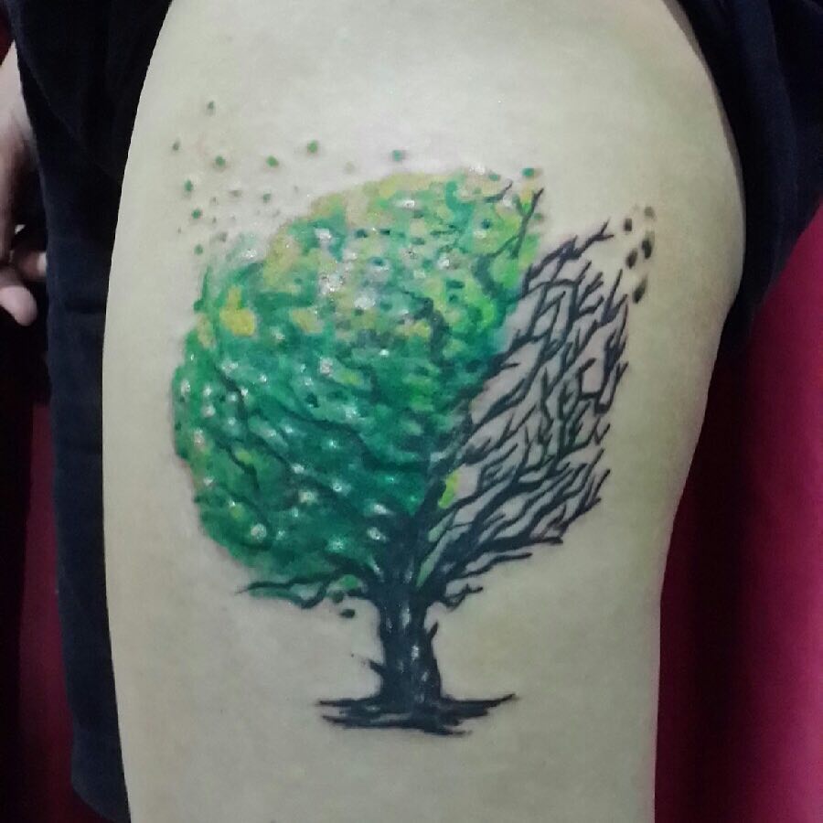 Nature, 나무