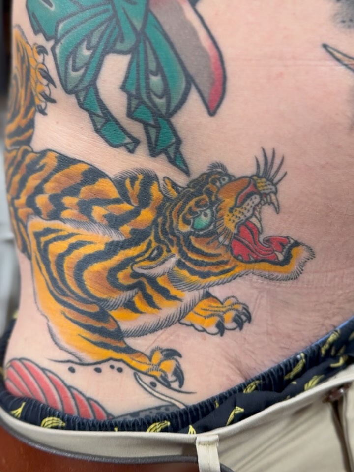 Tiger
