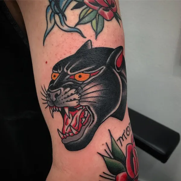 Animal, Tiger