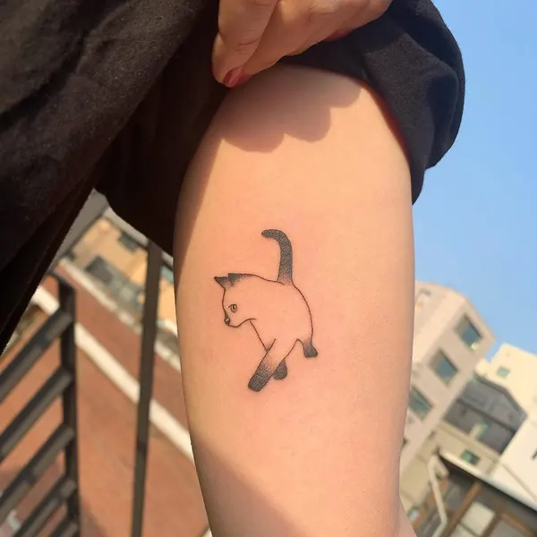 Animal, 양자리, 염소자리