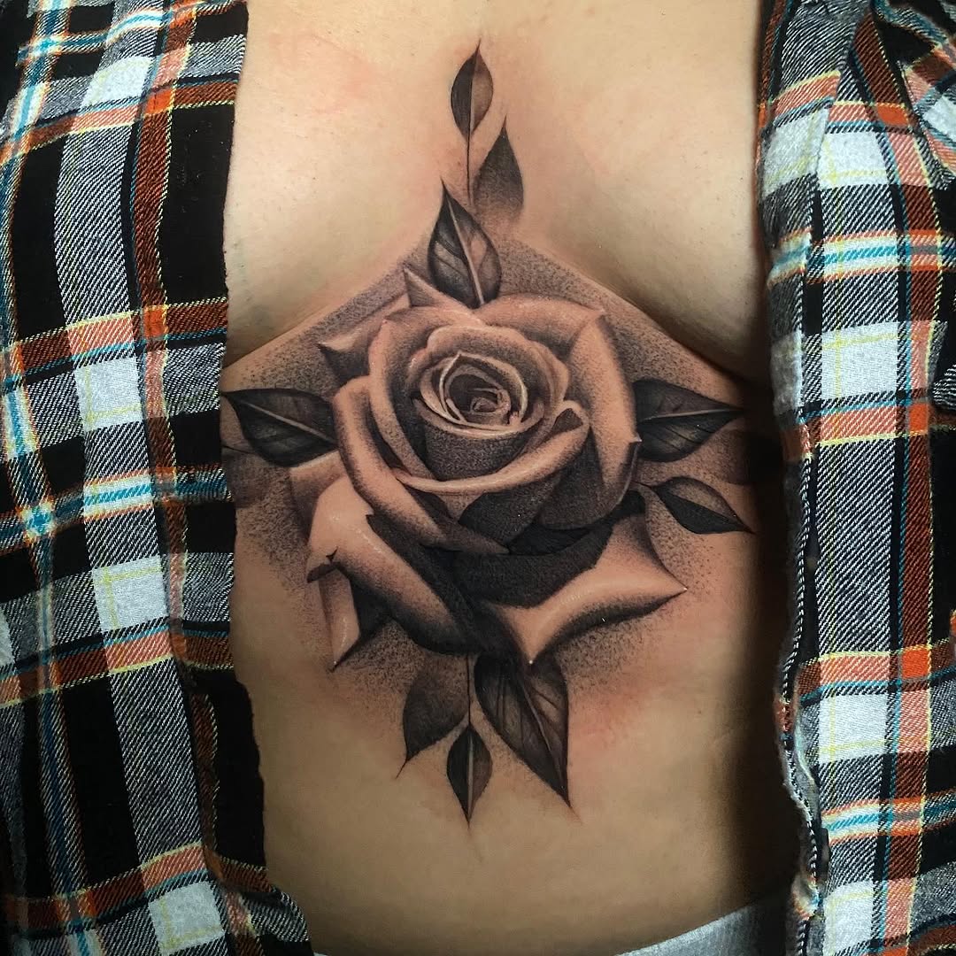 Flower, Rose, Nature