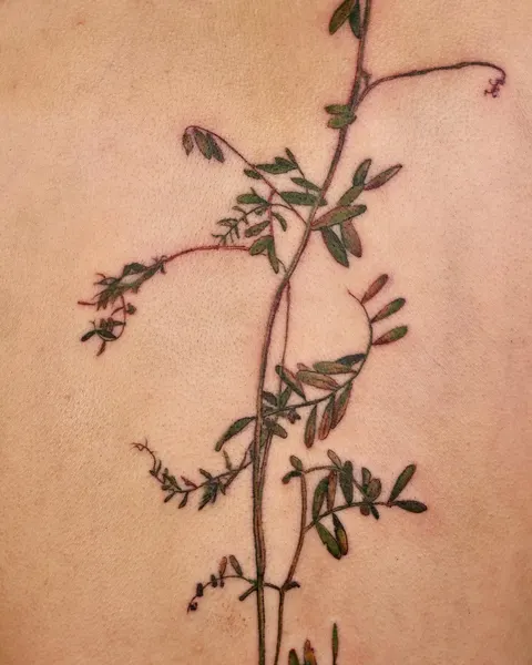 Flower, Nature