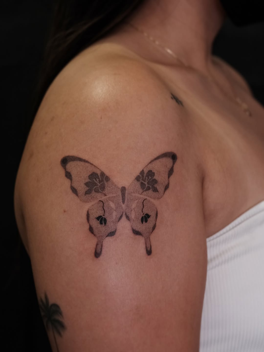 Animal, Nature, 발자국