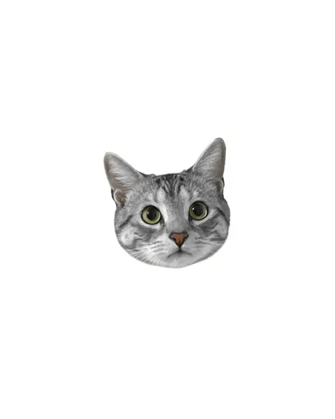 고양이, 마네키네코, 여우 가면