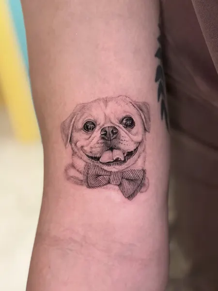 Animal