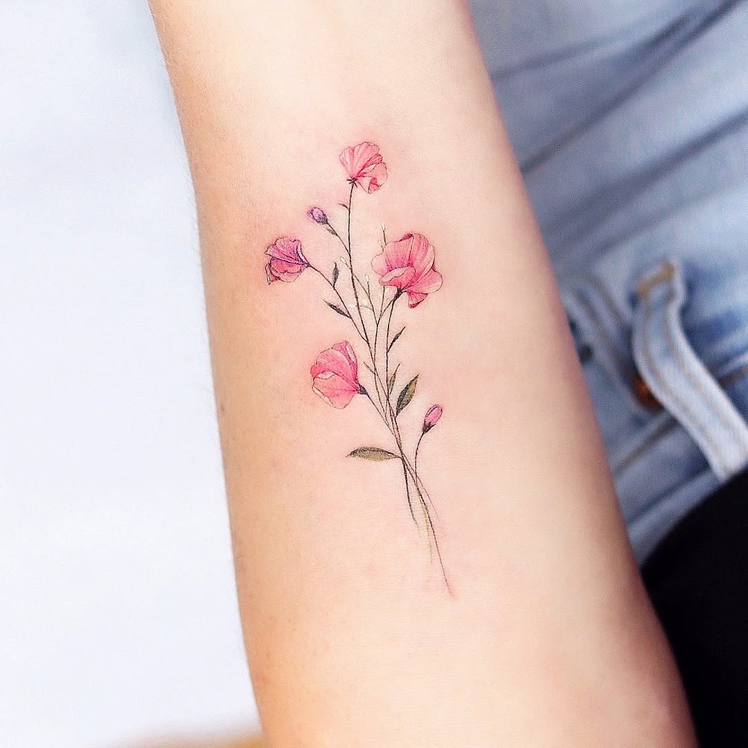 Flower, 벚꽃, 사쿠라, 나뭇가지, Nature, 카네이션