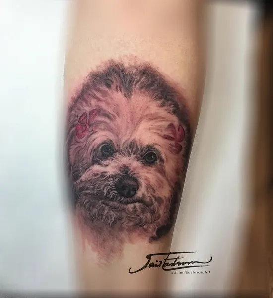 Animal