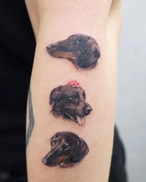 Animal, 반려동물 추모