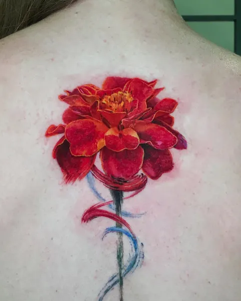 Flower, Nature, Rose, 양귀비, 탄생화