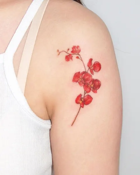 Flower, 양귀비, 체리