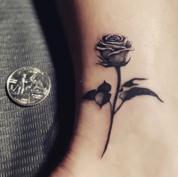 Flower, Rose