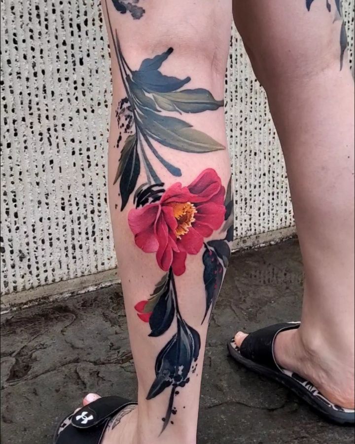 Flower, Rose