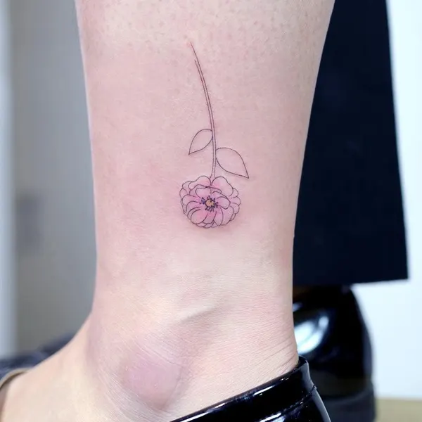 데이지, 민들레, Flower