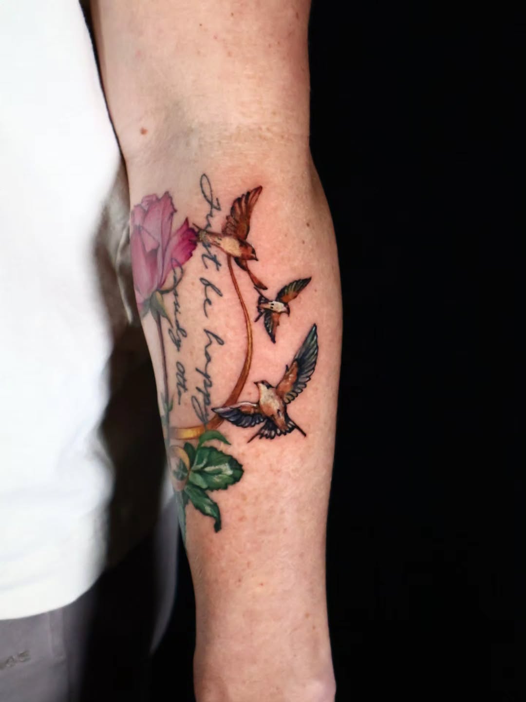 Rose, Nature, Flower