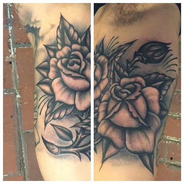Flower, Rose