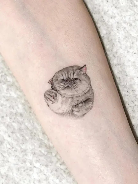 고양이