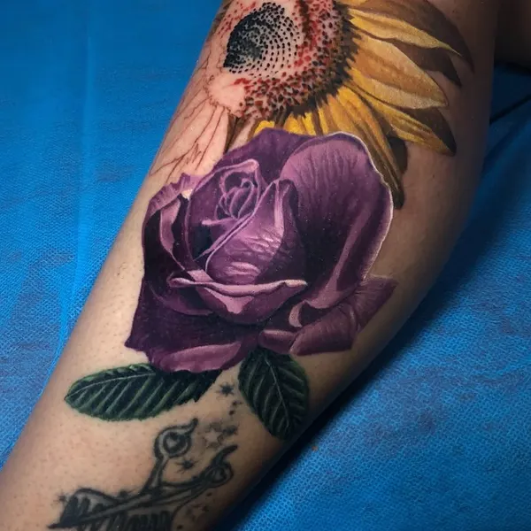 Flower, 해바라기