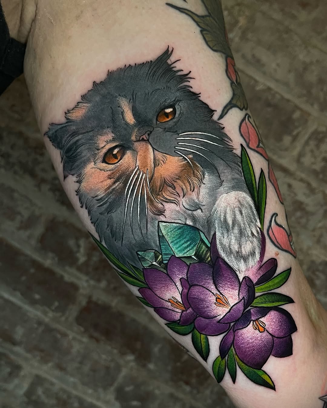 Animal, Tiger