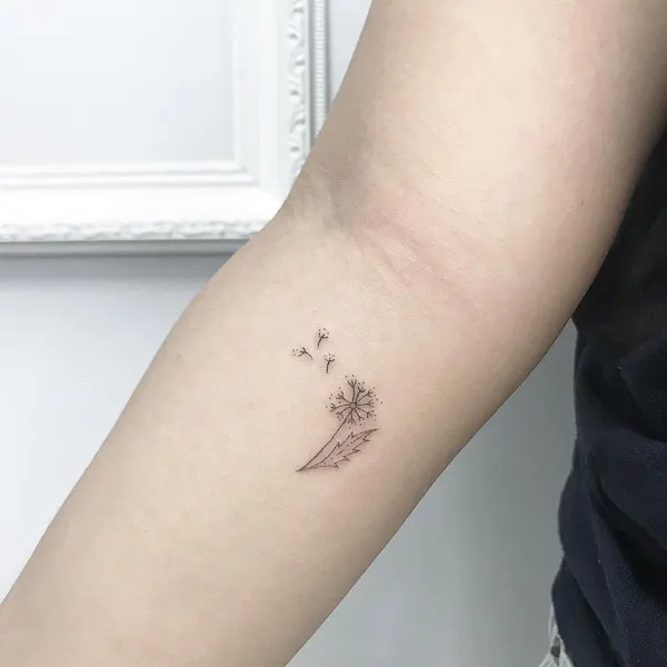 점, Lettering, 단청, 혜성, 민화, 한글, 황소자리