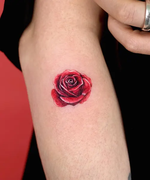 Flower, Rose
